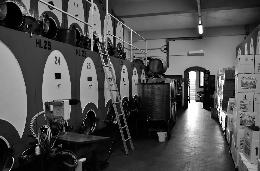 Landsted Azienda Agricola E Agriturismo Vallorsi Terricciola